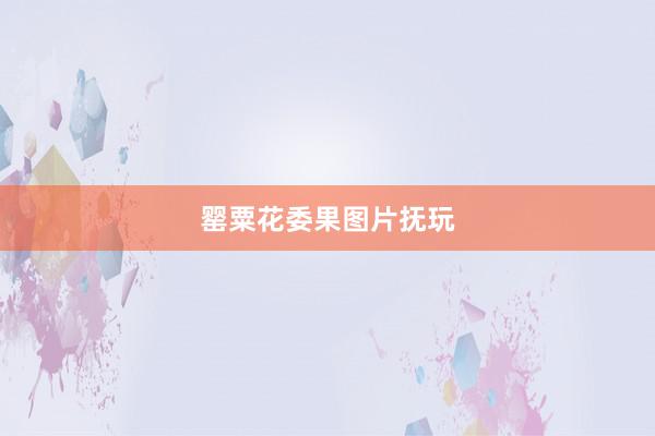 罂粟花委果图片抚玩