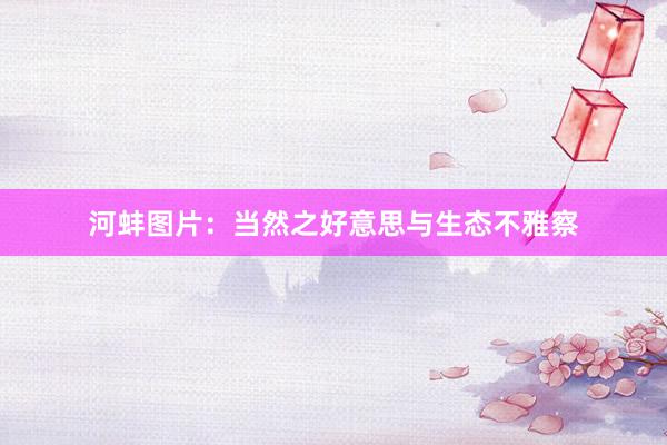 河蚌图片：当然之好意思与生态不雅察