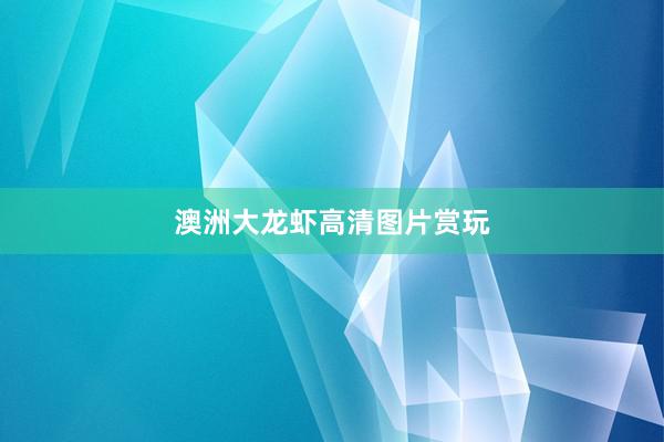 澳洲大龙虾高清图片赏玩